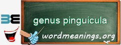 WordMeaning blackboard for genus pinguicula